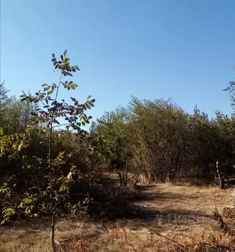 Участок в Ростовская область, Аксайский район, Большелогское с/пос, ...