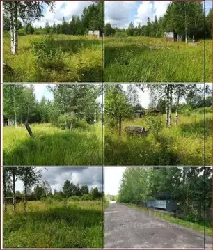 Участок в Новгородская область, Новгородский район, Савинское с/пос, ...