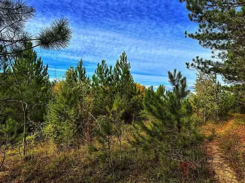 Участок в Крым, Бахчисарайский район, Куйбышевское с/пос, с. ...