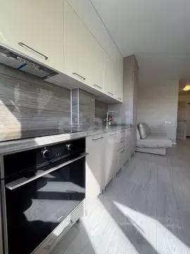 Студия Ростовская область, Ростов-на-Дону пер. Дунаевского, 17 (33.8 ...