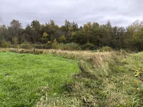 Участок в Московская область, Клин городской округ, д. Косово  (9.84 ...