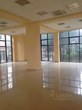 Помещение свободного назначения в Краснодарский край, Сочи Адлер ...