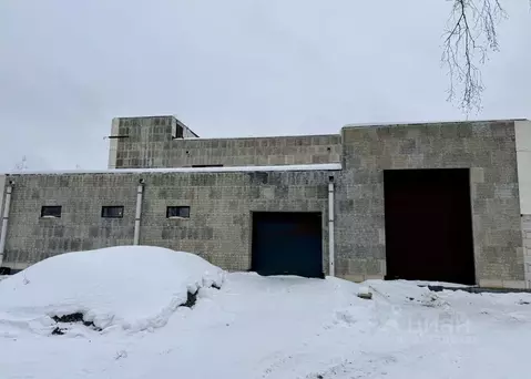 Помещение свободного назначения в Челябинская область, Сосновский ...