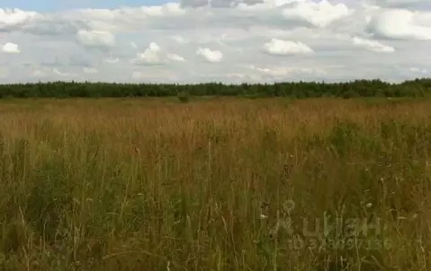 Участок в Волгоградская область, Камышинский район, Чухонастовское ...