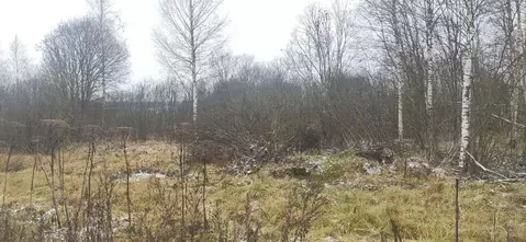 Участок в Московская область, Талдомский городской округ, д. Юркино  ...