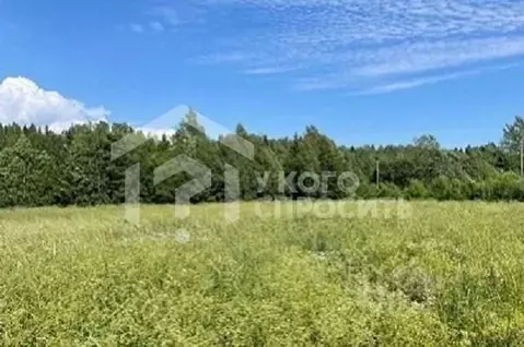 Участок в Ленинградская область, Кингисеппский район, Большелуцкое ...