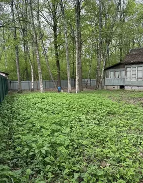Участок в Московская область, Домодедово городской округ, пос. ...