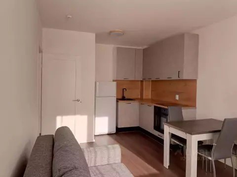 1-к кв. Санкт-Петербург ул. Пейзажная, 24к3 (32.9 м)