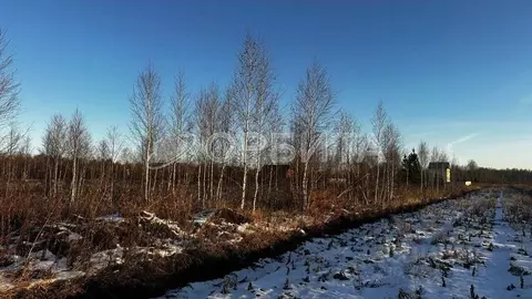 Участок в Тюменская область, Тюменский муниципальный округ, Москвичка ...