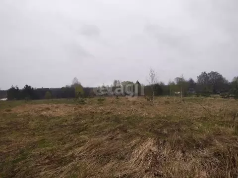 Участок в Калужская область, Дзержинский район, Рудня с/пос, д. Матово ...