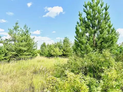 Участок в Татарстан, Пестречинский район, с. Кулаево  (128.9 сот.)