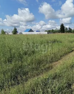 Участок в Челябинская область, Сосновский муниципальный округ, пос. ...