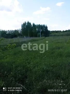 Участок в Мордовия, Кочкуровский район, с. Сабаево  (10.0 сот.)