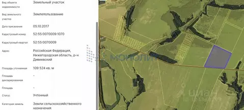 Участок в Нижегородская область, с. Дивеево  (1095.24 сот.)