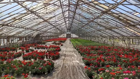 Производственное помещение в Московская область, Раменский ...