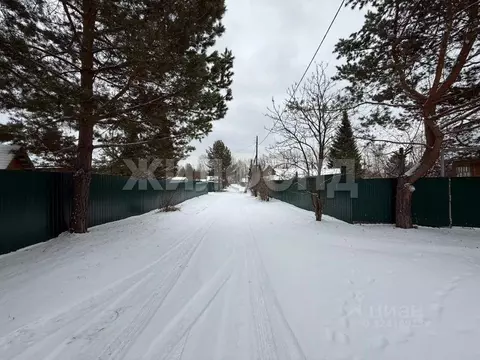 Участок в Новосибирская область, Новосибирский район, Новолуговской ...