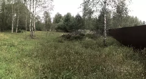 Участок в Владимирская область, Покров городской округ, пос. Городищи ...