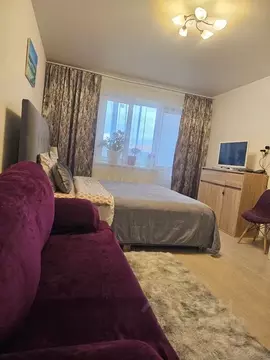 Студия Московская область, Ногинск Богородский городской округ, ул. ...