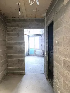 Студия Ленинградская область, Всеволожск ш. Дорога Жизни, 7к3 (23.0 м)