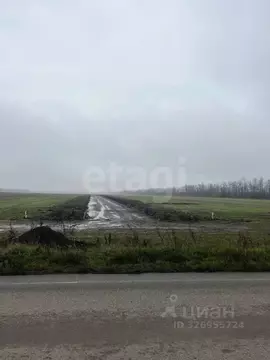 Участок в Ставропольский край, Шпаковский муниципальный округ, с. ...