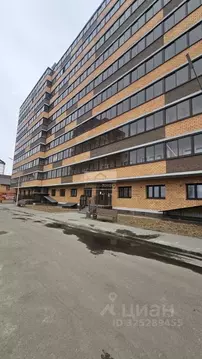 Студия Иркутская область, Иркутск ул. Красный Путь, 63 (28.6 м)