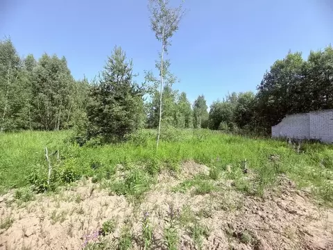 Участок в Владимирская область, Петушки Северо-Западный мкр,  (10.0 ...