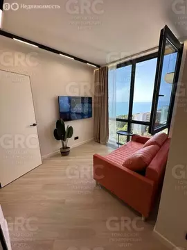 1-комнатная квартира: Сочи, Курортный проспект, 94/60 (31.6 м)