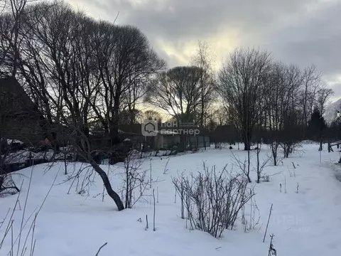 Участок в Санкт-Петербург, Санкт-Петербург, Красное Село ул. Голубко, ...