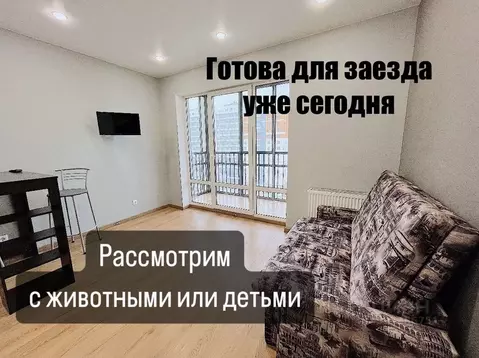 Студия Санкт-Петербург пос. Шушары, просп. Старорусский, 9 (25.0 м)