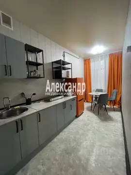 2-к кв. Санкт-Петербург Херсонская ул., 19 (50.3 м)