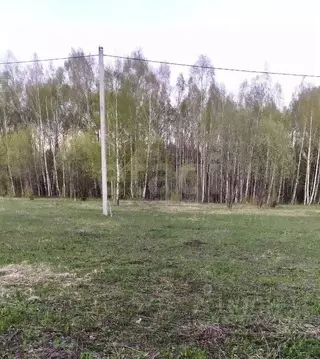 Участок в Татарстан, Зеленодольский район, Большекургузинское с/пос, ...
