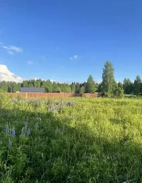 Участок в Удмуртия, Завьяловский район, д. Крестовоздвиженское  (11.5 ...