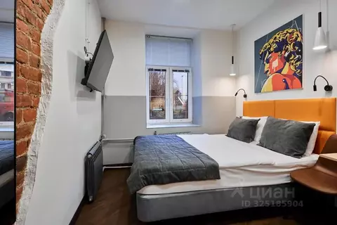 Студия Санкт-Петербург ул. Жуковского, 57 (12.0 м)