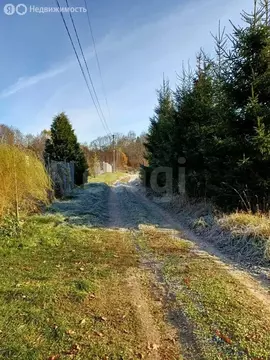 Дом в Псковская область, Опочецкий муниципальный округ, деревня ...