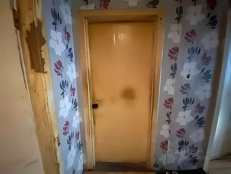 Комната Ленинградская область, Коммунар г. Гатчинский муниципальный ...