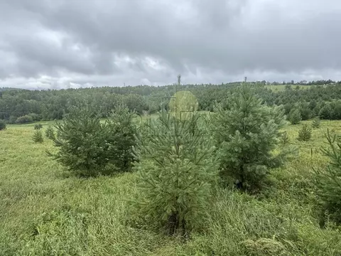 Участок в Иркутская область, Иркутский муниципальный округ, 10-й ...