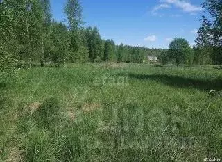 Участок в Ярославская область, Некрасовский муниципальный округ, д. ...