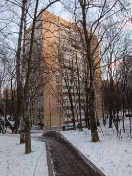 1-к кв. Москва Пролетарский просп., 45 (42.0 м)