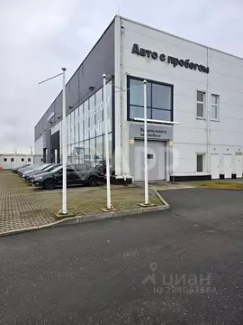 Помещение свободного назначения в Ленинградская область, Кудрово г. ...