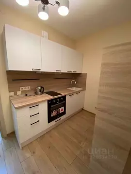 Студия Санкт-Петербург Новолитовская ул., 14 (26.0 м)