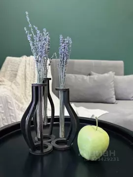 Студия Санкт-Петербург ул. Чирикова, 5 (20.0 м)