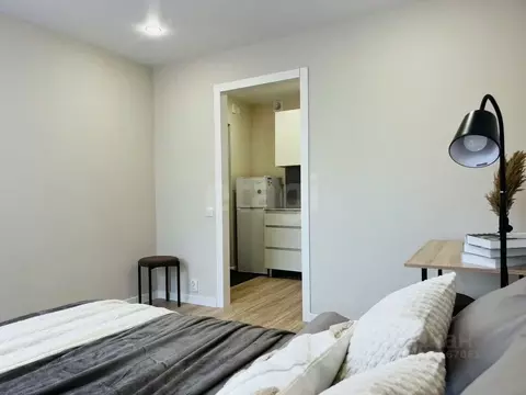 Студия Воронежская область, Воронеж ул. Переверткина, 45 (17.5 м)