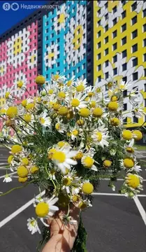 Квартира-студия: Мурино, улица Шоссе в Лаврики, 93 (21.22 м)