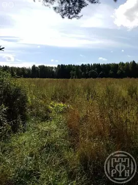 Участок в Заклинье, 12А (10 м)