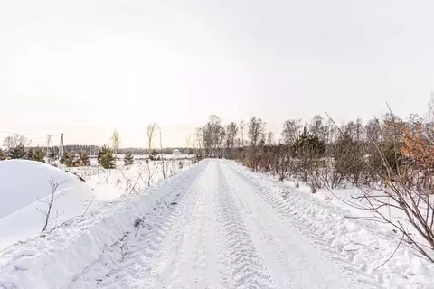 Участок в Новосибирская область, Бердск ул. Изумрудная, 11 (9.5 сот.)