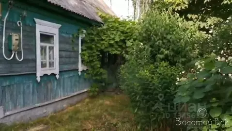 Участок в Брянская область, Выгоничское городское поселение, д. ...