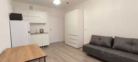 Студия Санкт-Петербург ул. Пахомовская, 12к2 (20.8 м)