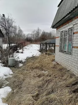 Участок в Тюменская область, Тобольск Прибрежный садоводческое ...