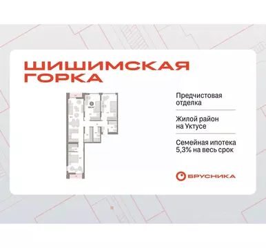 3-к кв. Свердловская область, Екатеринбург ул. Гастелло, 19А (106.89 ...