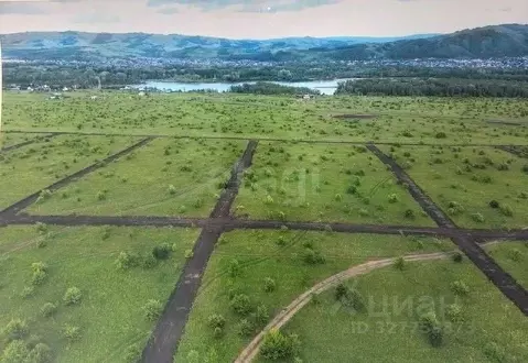 Участок в Алтайский край, Алтайский район, Айский сельсовет, с. Ая  ...